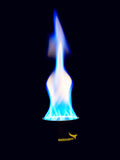 Siphon Heat Accumulation Alcohol Burner HA-7075